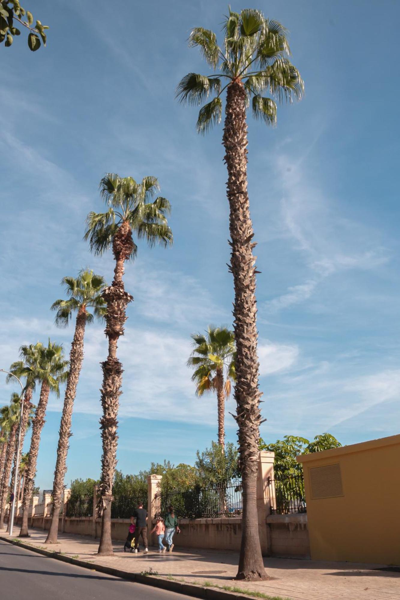 Larios Premium Apartments Malaga Exterior photo